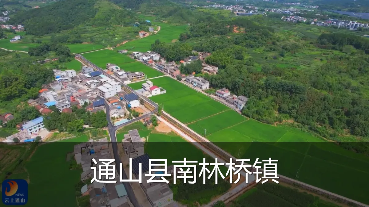 通山县南林桥镇