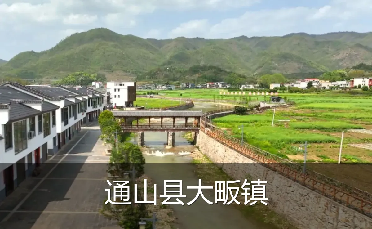 通山县大畈镇